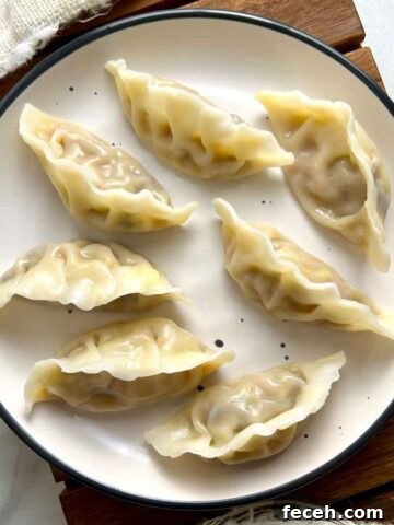 overhead shot of vegan dumplings on plate