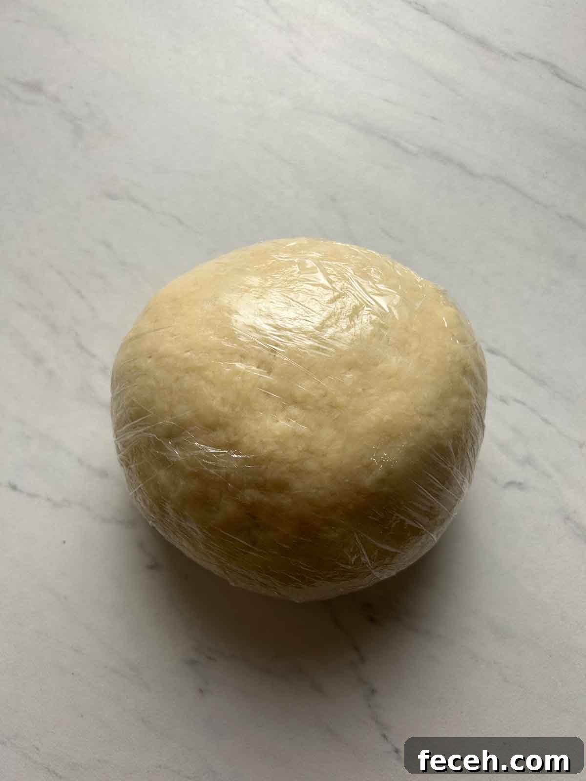 Homemade Gyoza Wrappers Recipe for Perfect Dumplings 5 smooth dough wrapped in plastic wrap