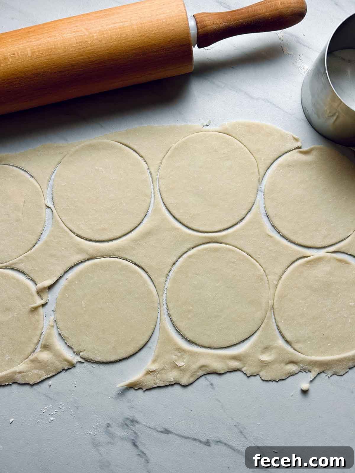 Homemade Gyoza Wrappers Recipe for Perfect Dumplings 6 rolled out dough with circles cut in it