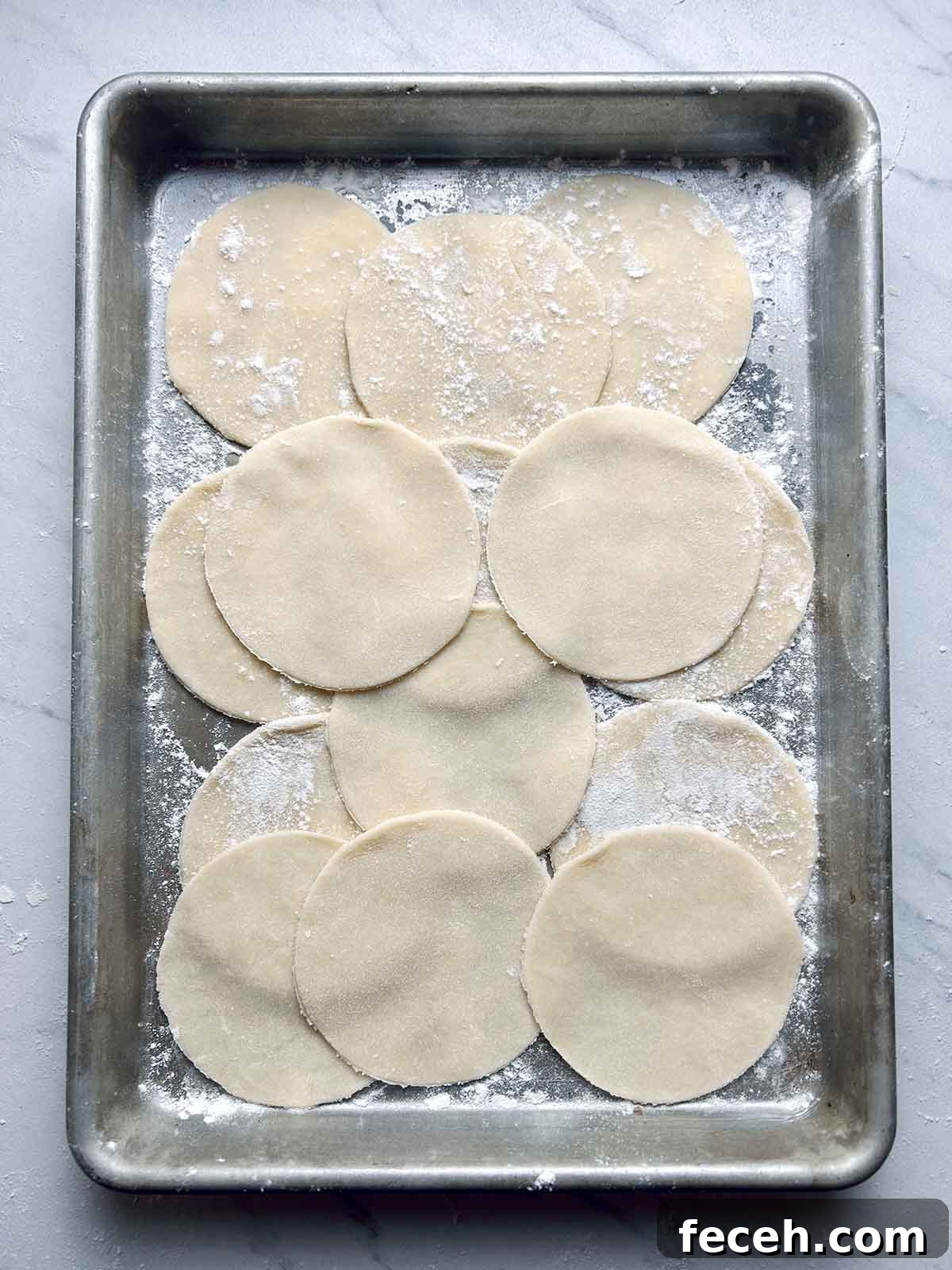 Homemade Gyoza Wrappers Recipe for Perfect Dumplings 7 gyoza wrappers in pan