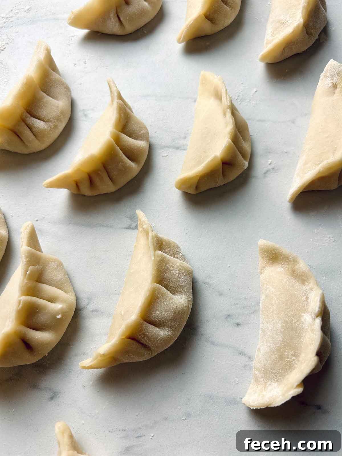Homemade Gyoza Wrappers Recipe for Perfect Dumplings 8 gyozas on floured surface