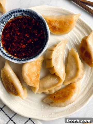 chicken gyozas on plate with bowl of dipping sauce