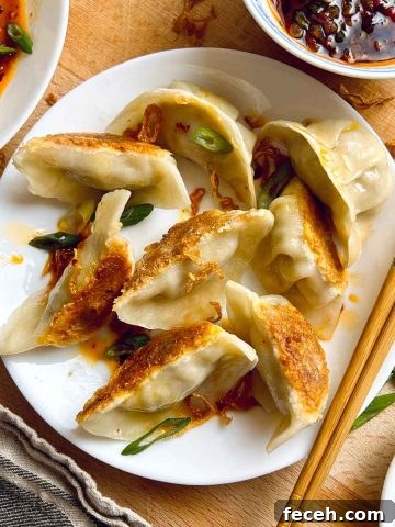 fried dumplings on plate