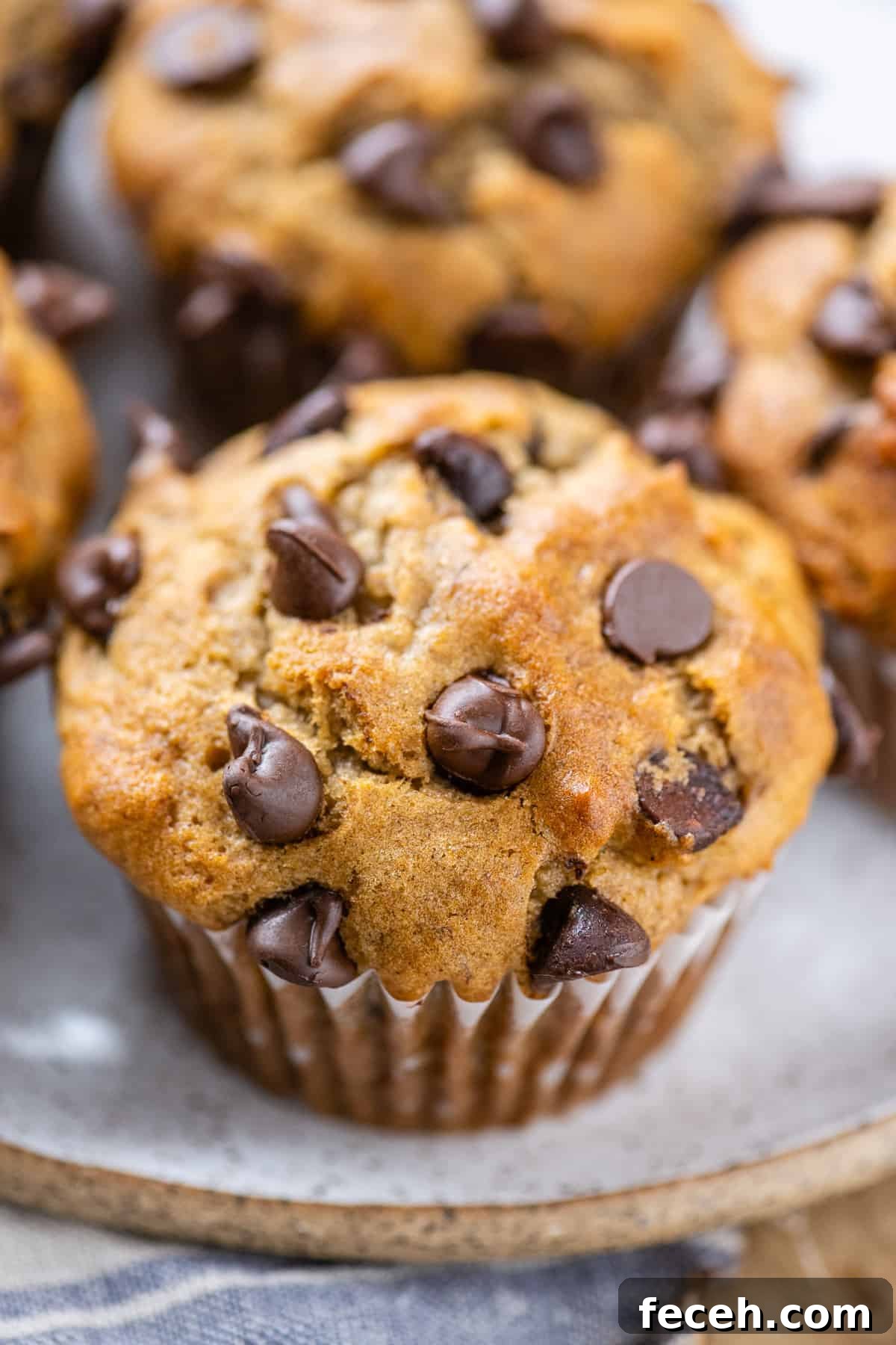 Moist Banana Muffins: Gluten-Free Recipe for Tender Muffins 12 banana muffins with chocolate chips on white plate