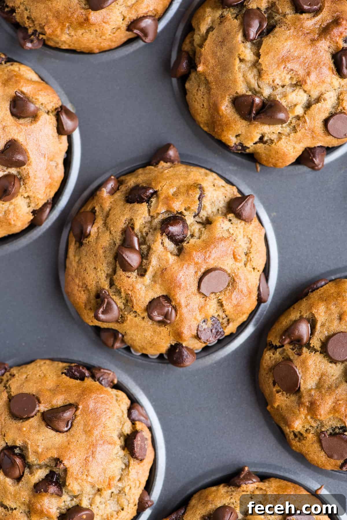 Moist Banana Muffins: Gluten-Free Recipe for Tender Muffins 10 gluten free banana chocolate chip muffins in metal muffin pan