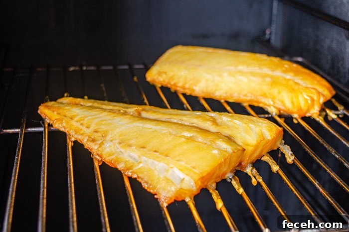 cod fillets on smoker grates