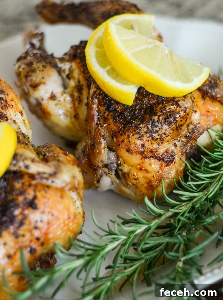 air fryer cornish hens