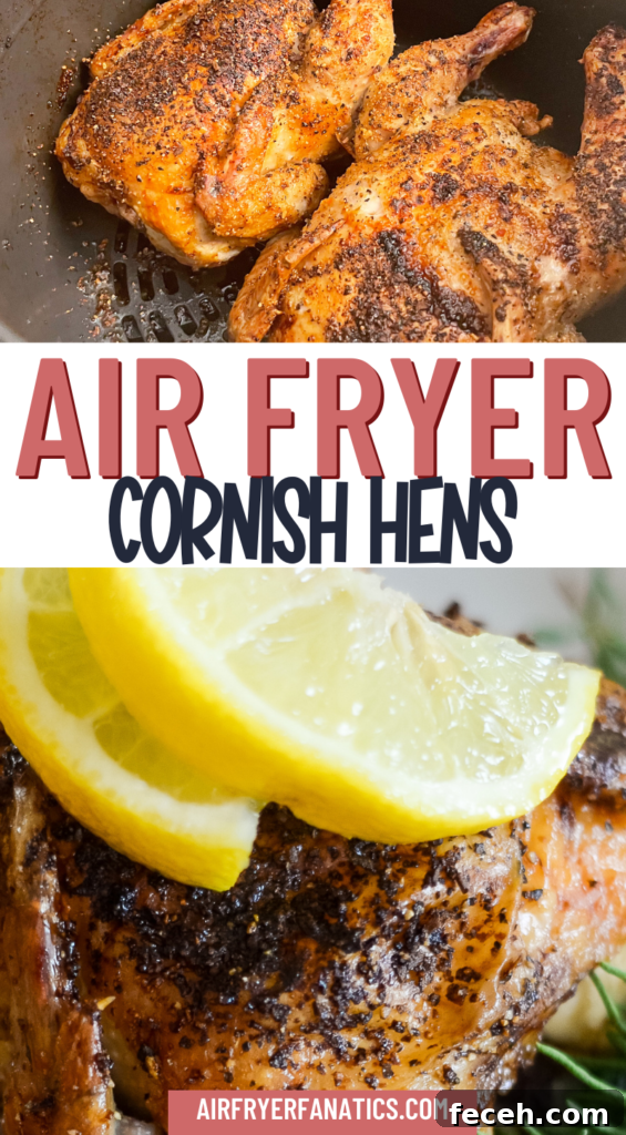 air fryer cornish hens
