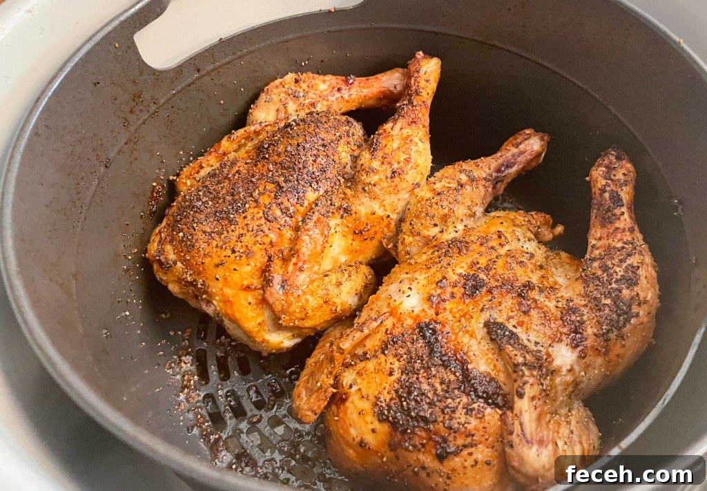 air fryer cornish hens in air fryer