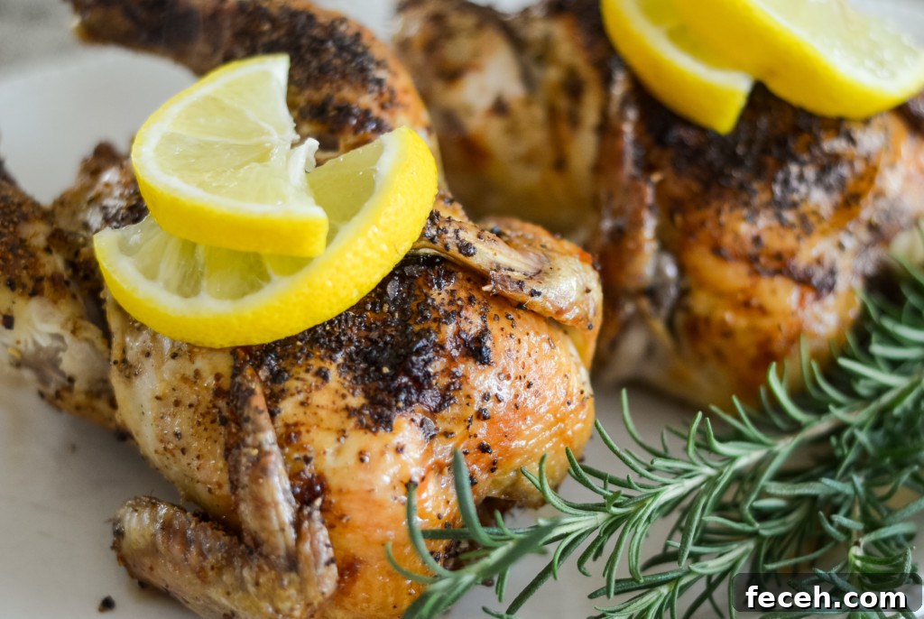air fryer cornish hens