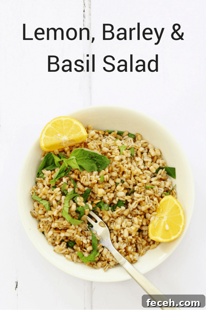 Lemon barley and basil salad pin image