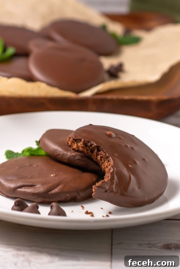 Classic Gingerbread Cookie Recipe for Soft, Spiced Cookies 14 Chocolate round cookies, dipped in cookies, on a small white plate with the top cookie missing a bite.