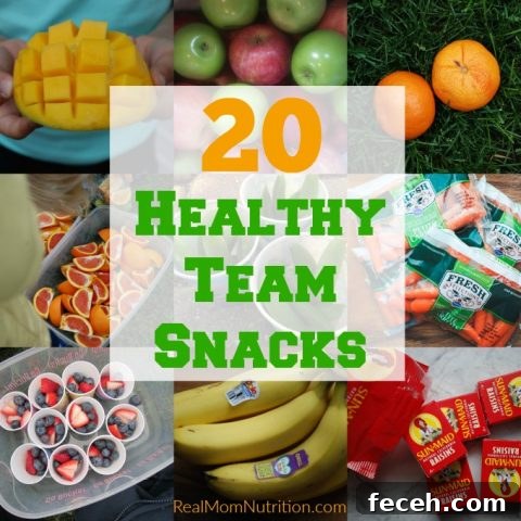 Snacktivist team snack ideas