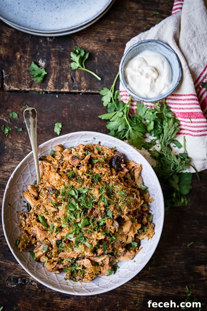 Top down of a bowl of cabbage with sour cream