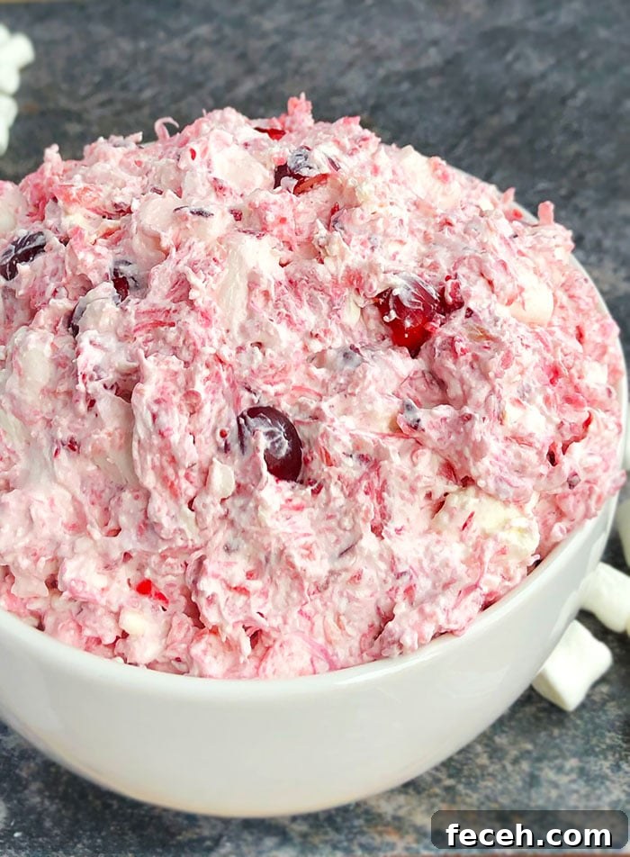 Easy Cranberry Salad Recipe