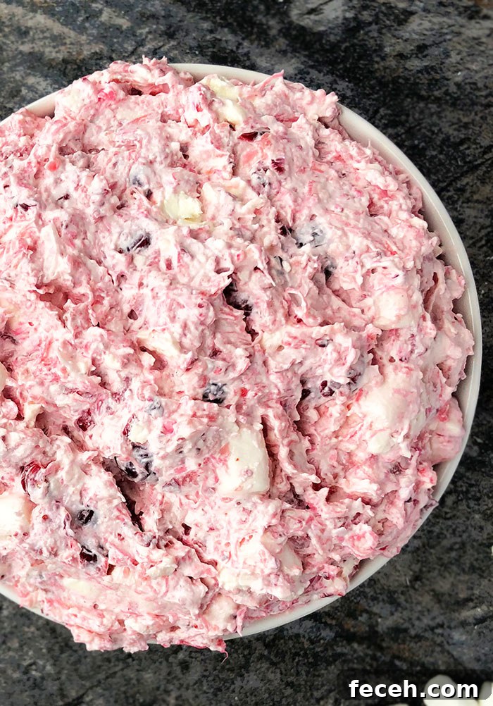 Creamy Pineapple Apple Cranberry Salad 