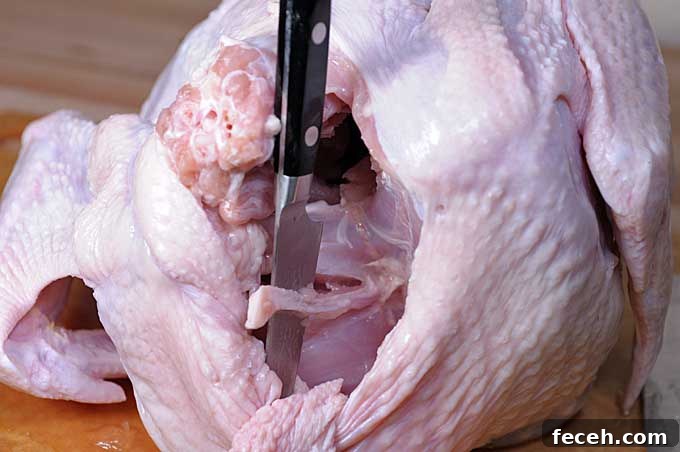Remove the Wishbone from Chicken or Turkey for Cleaner Carving 3 Use a paring knife to scrape along the side of the inner neck until each side of the wishbone is found