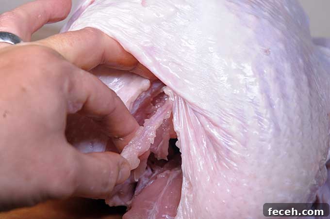 Remove the Wishbone from Chicken or Turkey for Cleaner Carving 4 Cut along each side of the wishbone to dislodge it from the poultry carcass