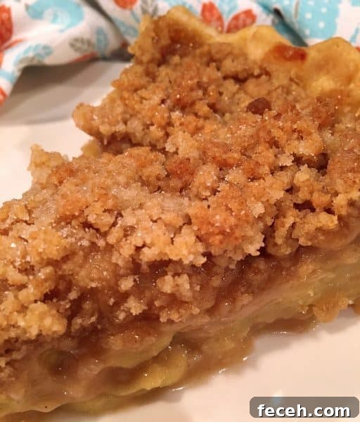 slice of dutch apple pie