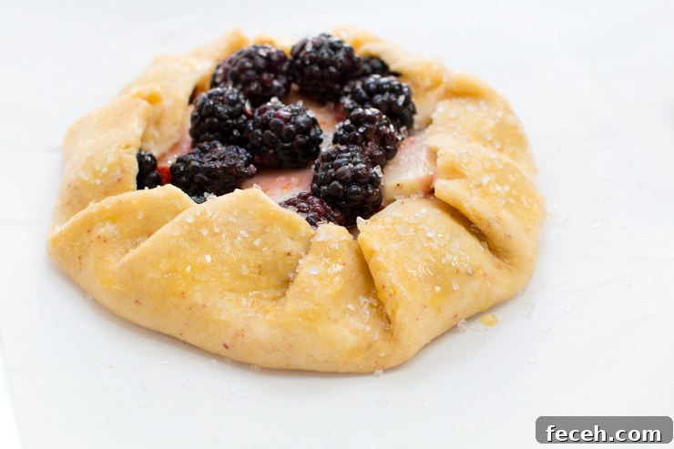 Blackberry Nectarine Galettes with Pink Peppercorn Crust prebake