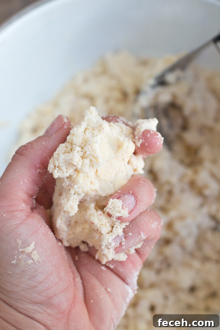 pink peppercorn galette dough