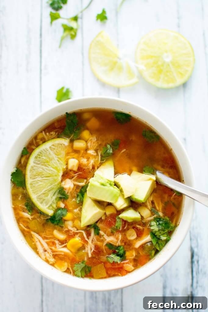 Crockpot-Spicy-Chicken-Soup-4-682x1024