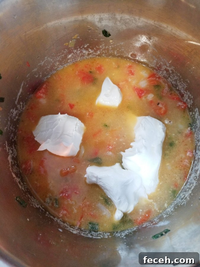 Creamy Cajun Shrimp Dip Made in the Instant Pot 6 img 521 5