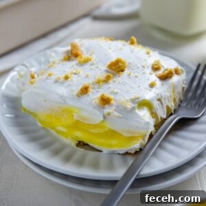 Creamy Lemon Lush Dessert Recipe for Every Occasion 17 img 52323 16