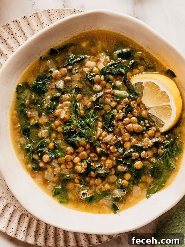 Lentil soup with Swiss chard and lemon garnished with dill and a lemon wedge in a bowl.