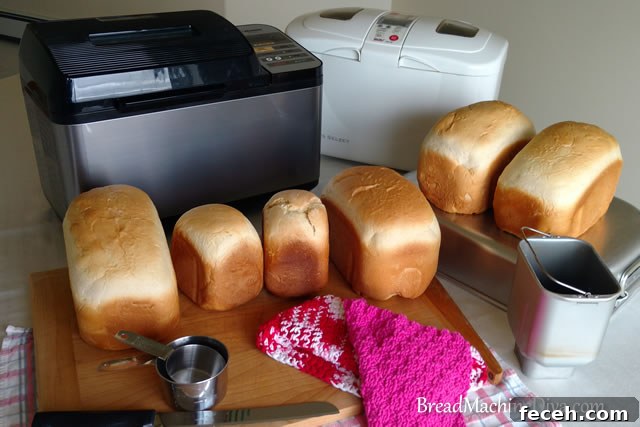 Many loaves of Bread