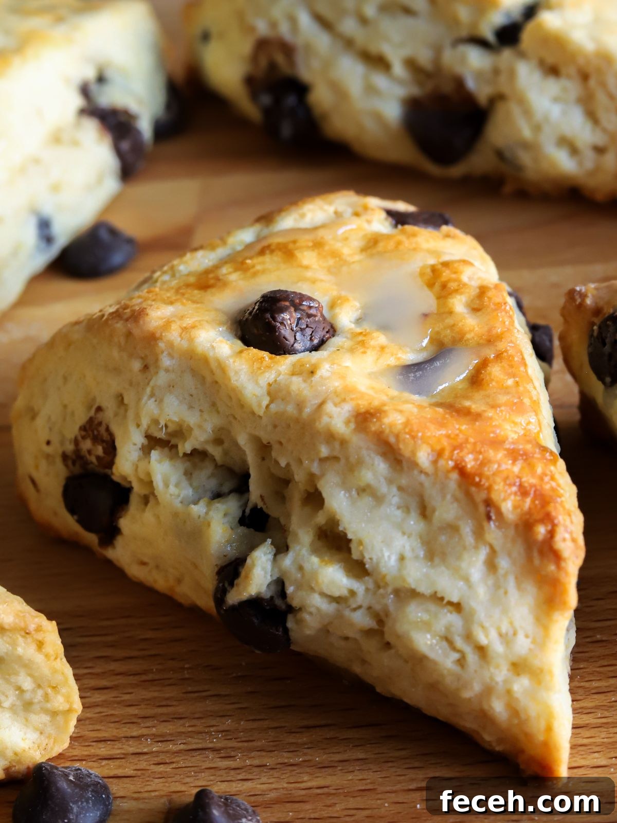 Chocolate Chip Cottage Cheese Scones