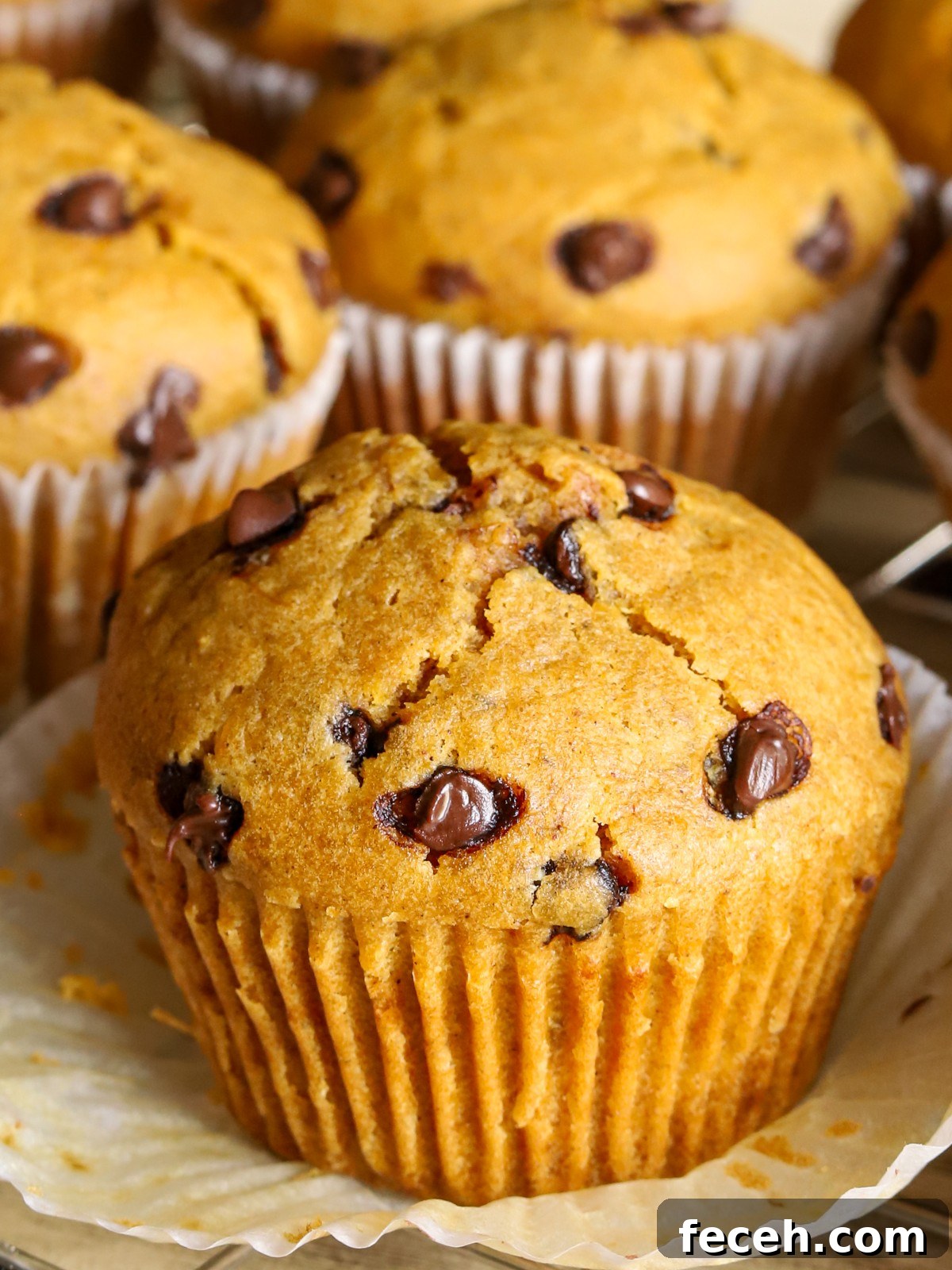 Cottage Cheese Pumpkin Muffins