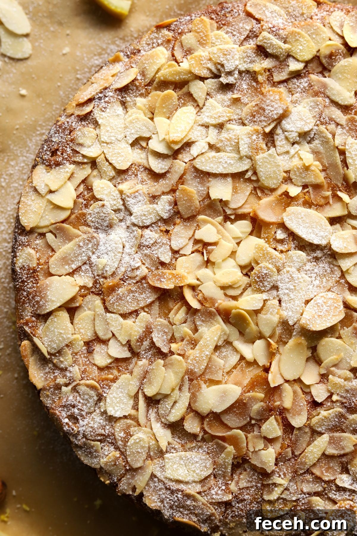 Gluten Free Lemon Almond Cottage Cheese Cake