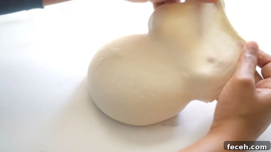 7 Reasons Your Bread Dough Isn’t Rising (and How to Fix It) 5 window pane test