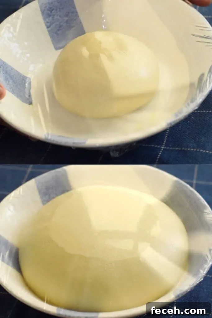 7 Reasons Your Bread Dough Isn’t Rising (and How to Fix It) 6 well kneaded dough get doubled in size after proofing