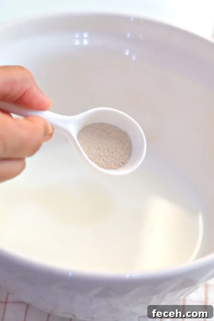 7 Reasons Your Bread Dough Isn’t Rising (and How to Fix It) 2 Fresh and active yeast help the dough to rise