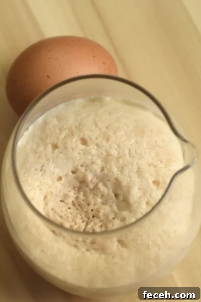 7 Reasons Your Bread Dough Isn’t Rising (and How to Fix It) 3 Bubbly active yeast for dough rising