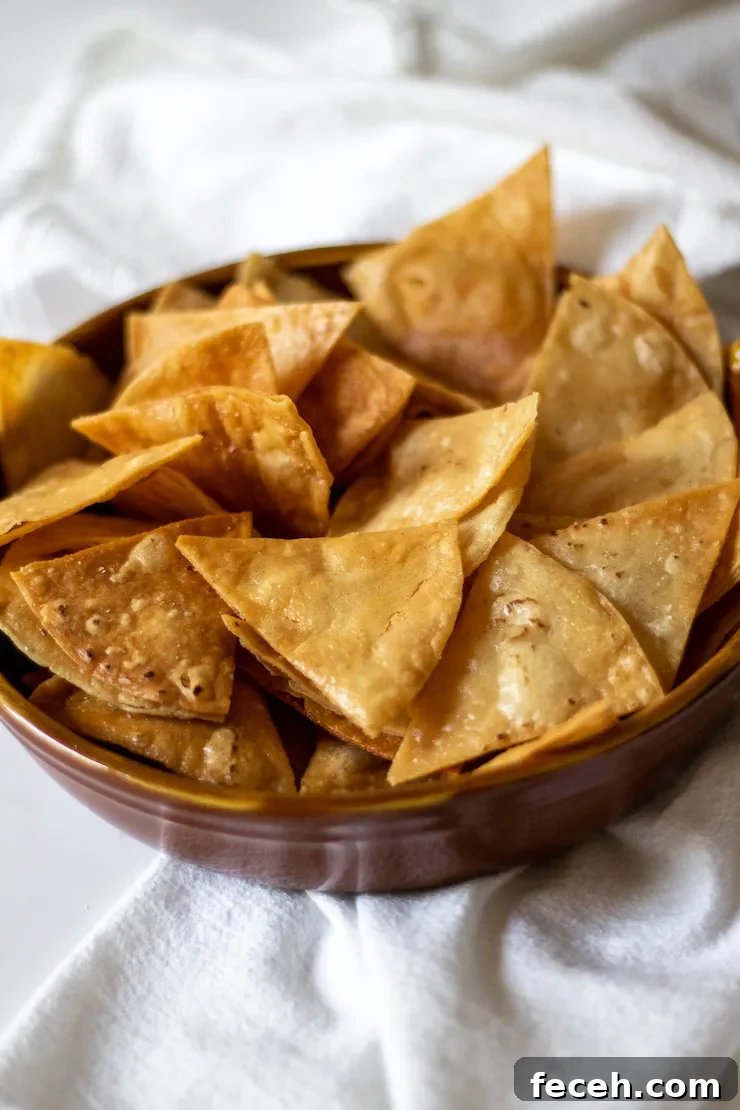 Homemade tortilla chips in bowl.