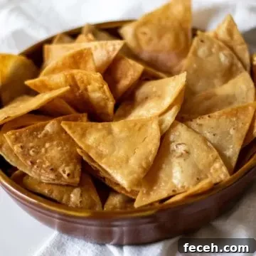 Homemade tortilla chips in bowl.