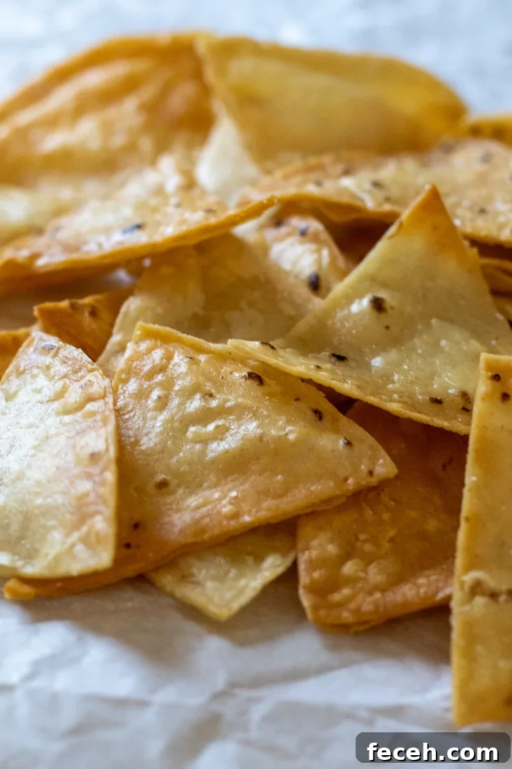 Close up of homemade tortilla chips.