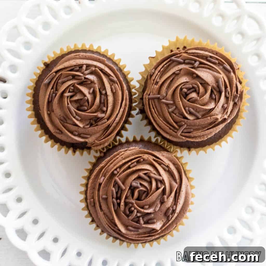 overhead shot of three chocolate fudge cupcakes on white plate