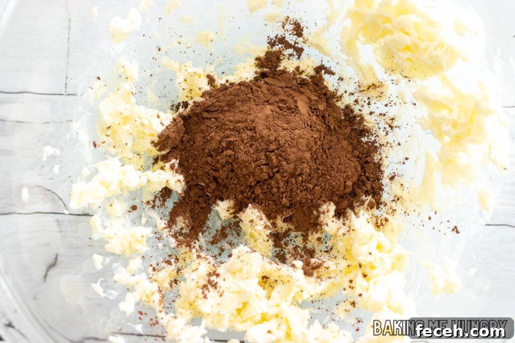 cocoa powder added to creamed butter
