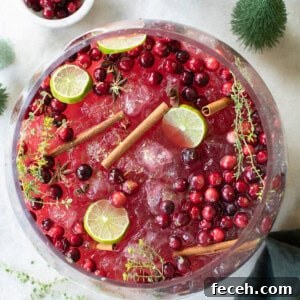 Festive Nonalcoholic Christmas Punch Recipe for Holiday Parties 9 Christmas punch no alcohol with cinnamon sticks and lime slices.