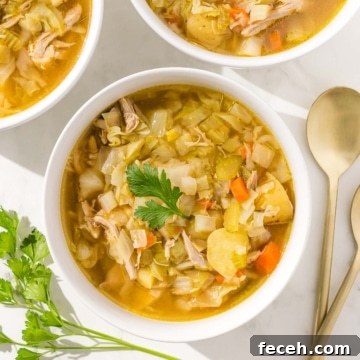 Three bowls of chicken cabbage soup with parsley.