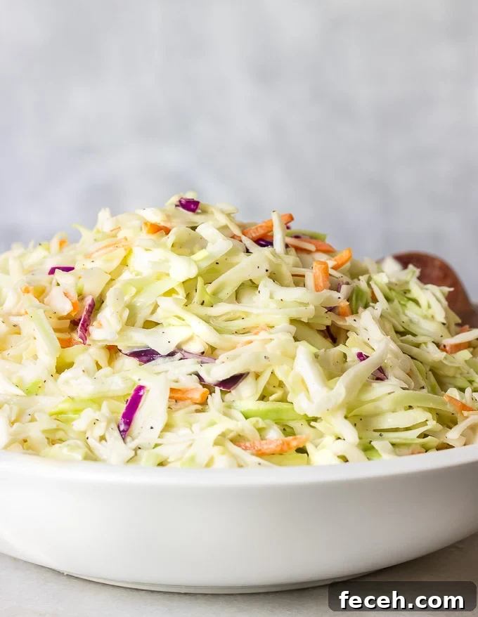 Classic Southern Coleslaw Recipe with Tangy Creamy Dressing 2 a bowl of creamy southern coleslaw