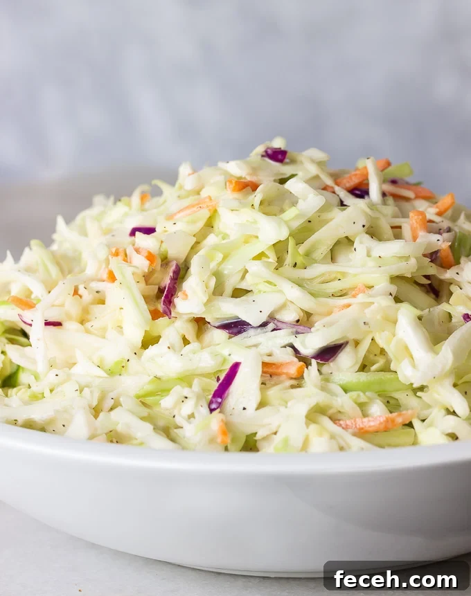 Classic Southern Coleslaw Recipe with Tangy Creamy Dressing 3 a bowl of creamy southern coleslaw