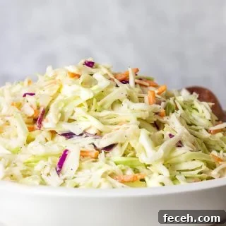 Classic Southern Coleslaw Recipe with Tangy Creamy Dressing 5 a bowl of creamy southern coleslaw