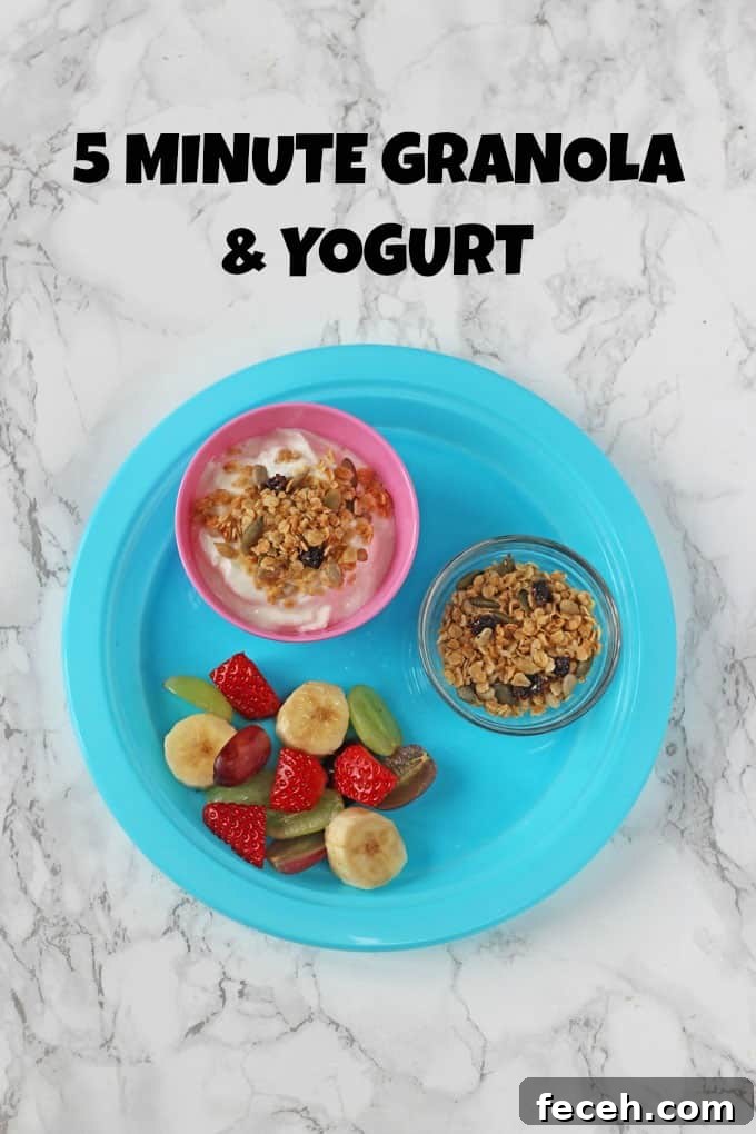 7 Kid-Friendly Breakfast Ideas for a Week of Mornings 7 Breakfast Ideas For Kids 4 - 5 Minute Granola & Yogurt