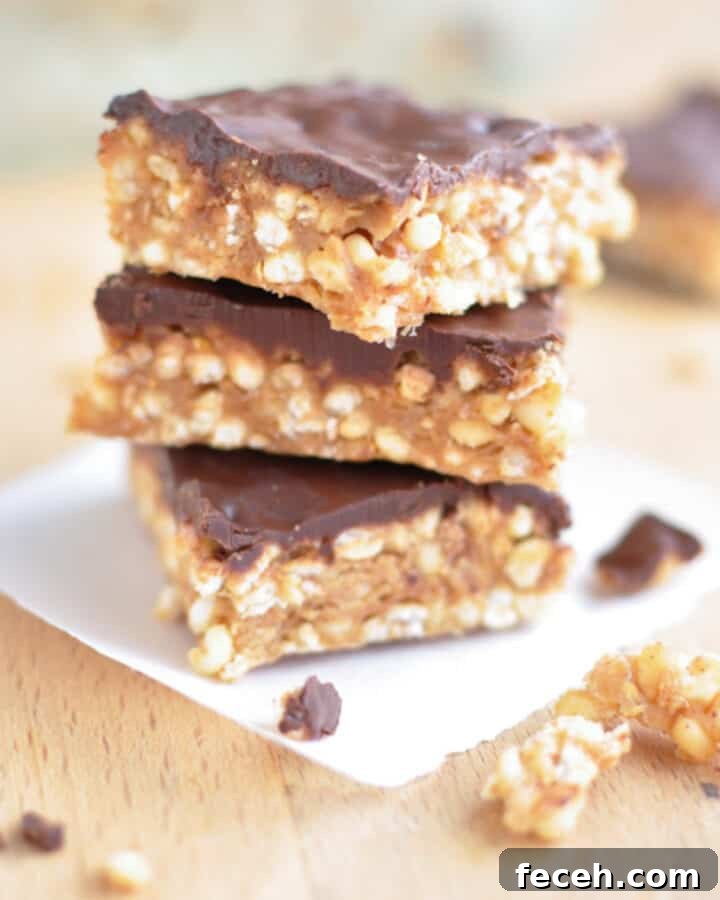 healthy puffed millet bars