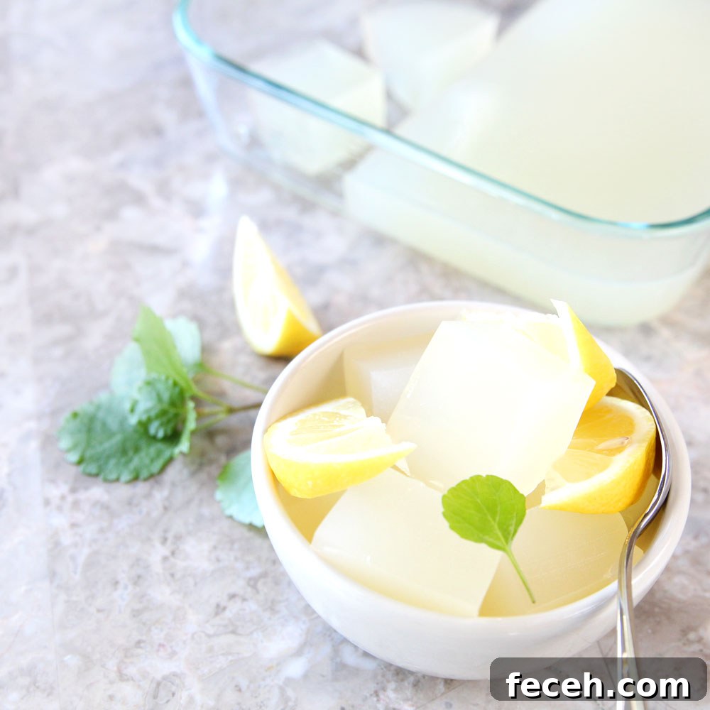 Homemade Lemonade Jello Recipe (Sugar‑Free Option) 2 Lemonade Jello